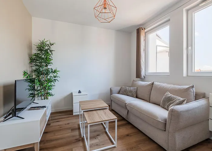 L\'Escapade Strasbourgeoise - Magnifique Petit T2 Refait A Neuf